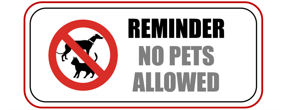 No Pets Please